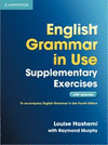ENGLISH GRAMMAR IN USE SUPPLEMENTARY EXERCISES 3RD EDITION