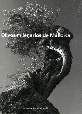 LOS OLIVOS MILENARIOS DE MALLORCA